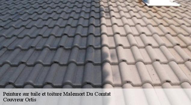 Peinture sur tuile et toiture  malemort-du-comtat-84570 Couvreur Ortis