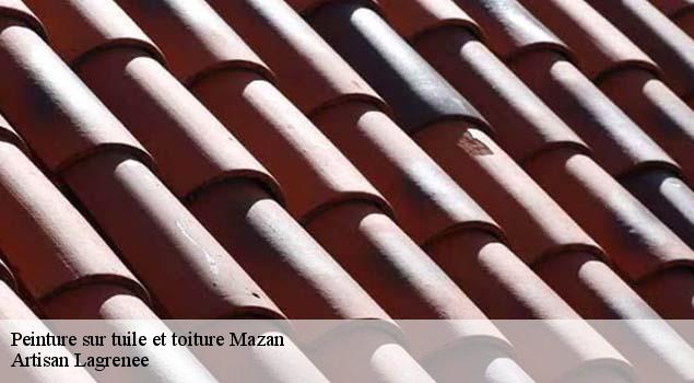 Peinture sur tuile et toiture  mazan-84380 Artisan Lagrenee