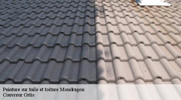Peinture sur tuile et toiture  mondragon-84430 Couvreur Ortis