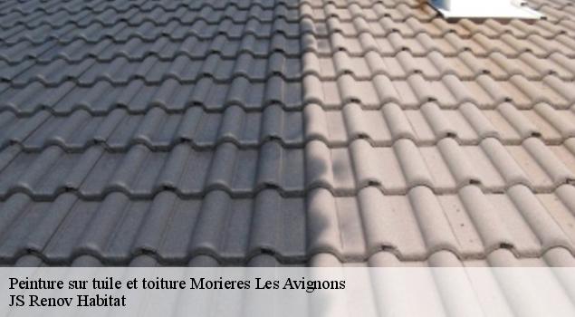 Peinture sur tuile et toiture  morieres-les-avignons-84310 JS Renov Habitat 