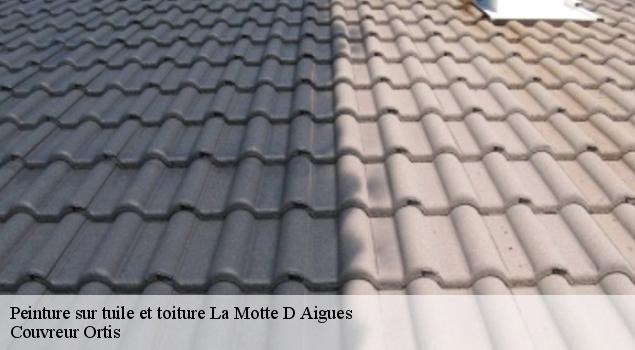 Peinture sur tuile et toiture  la-motte-d-aigues-84240 Couvreur Ortis