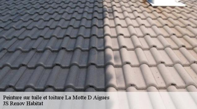 Peinture sur tuile et toiture la-motte-d-aigues-84240 JS Renov Habitat