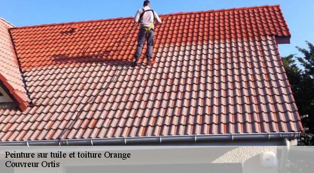 Peinture sur tuile et toiture  orange-84100 Artisan Lagrenee