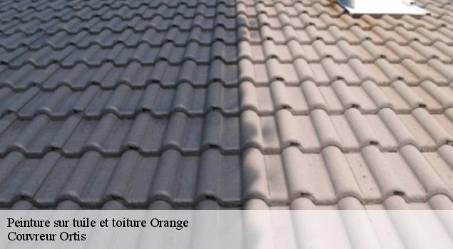 Peinture sur tuile et toiture  orange-84100 Artisan Lagrenee
