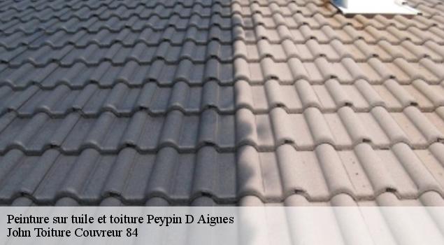 Peinture sur tuile et toiture  peypin-d-aigues-84240 John Toiture Couvreur 84