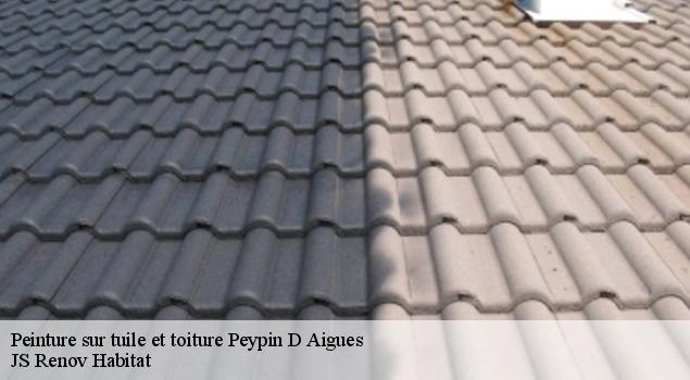 Peinture sur tuile et toiture  peypin-d-aigues-84240 JS Renov Habitat 