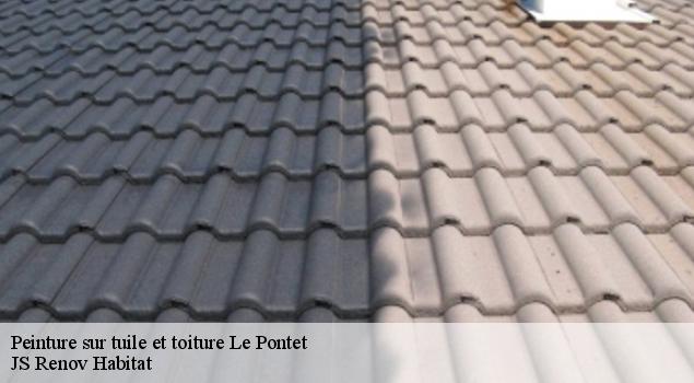 Peinture sur tuile et toiture  le-pontet-84130 JS Renov Habitat 