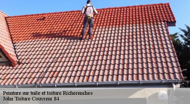 Peinture sur tuile et toiture  richerenches-84600 John Toiture Couvreur 84