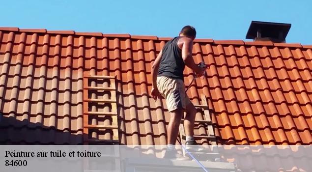 Peinture sur tuile et toiture  richerenches-84600 JS Renov Habitat 