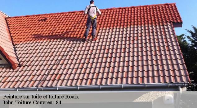 Peinture sur tuile et toiture  roaix-84110 John Toiture Couvreur 84