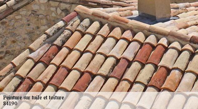 Peinture sur tuile et toiture  la-roque-alric-84190 Couverture Lagrenee