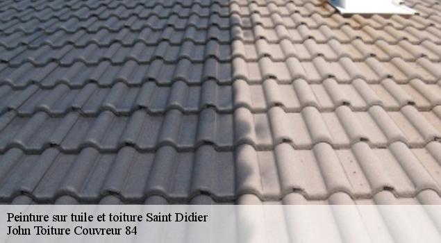 Peinture sur tuile et toiture  saint-didier-84210 John Toiture Couvreur 84