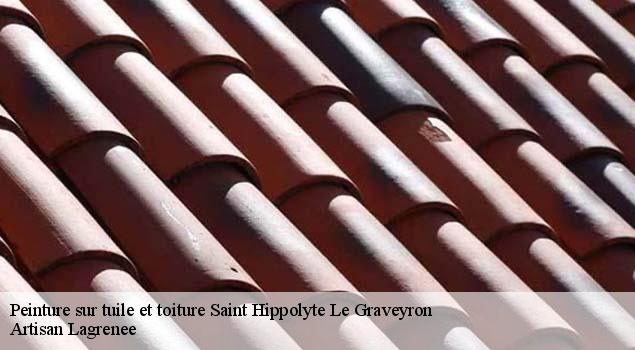 Peinture sur tuile et toiture  saint-hippolyte-le-graveyron-84330 Artisan Lagrenee