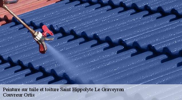 Peinture sur tuile et toiture  saint-hippolyte-le-graveyron-84330 Couvreur Ortis