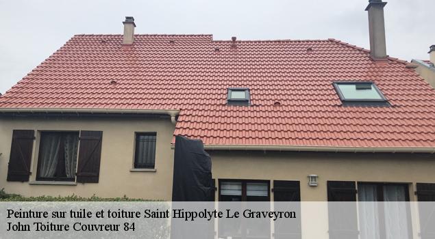 Peinture sur tuile et toiture  saint-hippolyte-le-graveyron-84330 John Toiture Couvreur 84