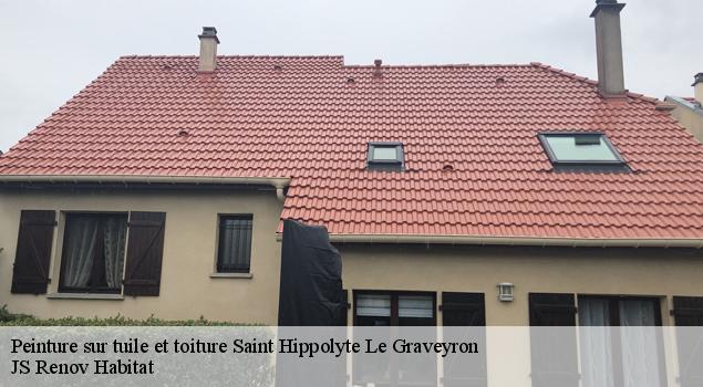 Peinture sur tuile et toiture  saint-hippolyte-le-graveyron-84330 JS Renov Habitat 
