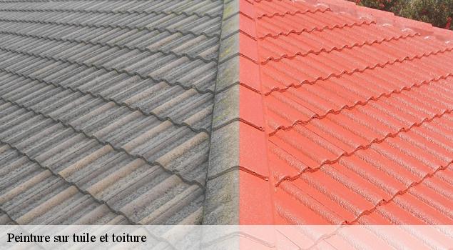 Peinture sur tuile et toiture  saint-hippolyte-le-graveyron-84330 JS Renov Habitat 