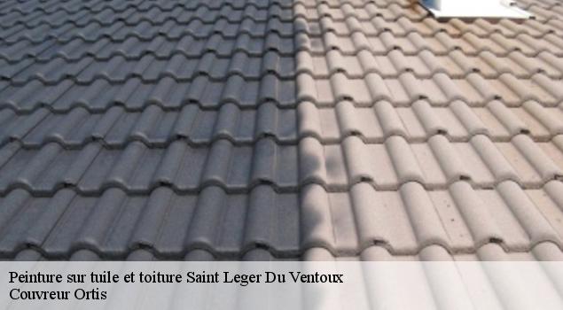 Peinture sur tuile et toiture  saint-leger-du-ventoux-84390 Couvreur Ortis