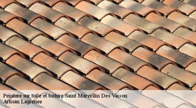 Peinture sur tuile et toiture  saint-marcellin-des-vaison-84110 Artisan Lagrenee