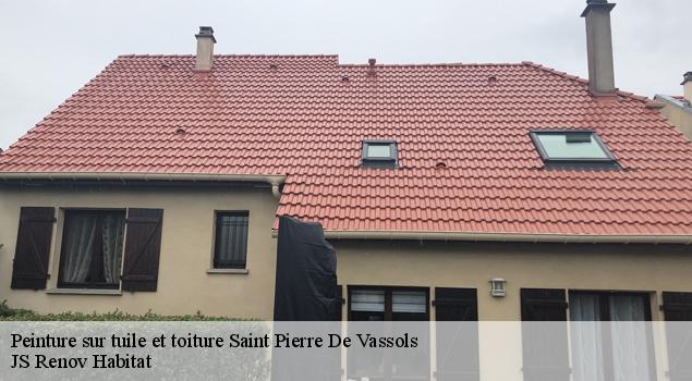 Peinture sur tuile et toiture  saint-pierre-de-vassols-84330 JS Renov Habitat 