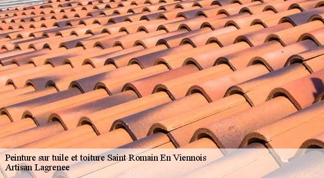 Peinture sur tuile et toiture  saint-romain-en-viennois-84110 Artisan Lagrenee