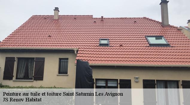 Peinture sur tuile et toiture  saint-saturnin-les-avignon-84450 JS Renov Habitat 