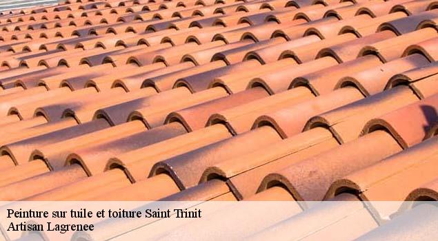 Peinture sur tuile et toiture  saint-trinit-84390 Artisan Lagrenee