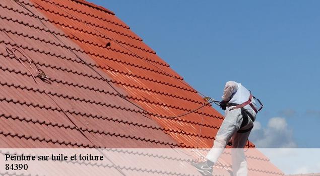 Peinture sur tuile et toiture  savoillan-84390 JS Renov Habitat 
