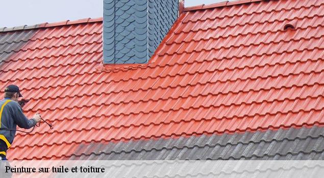 Peinture sur tuile et toiture  le-thor-84250 JS Renov Habitat 