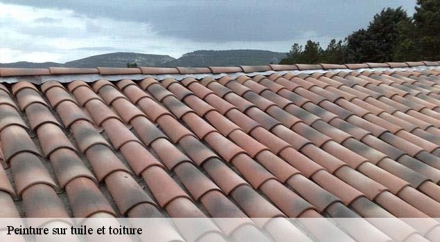 Peinture sur tuile et toiture  travaillan-84850 Couverture Lagrenee