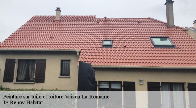Peinture sur tuile et toiture  vaison-la-romaine-84110 JS Renov Habitat 