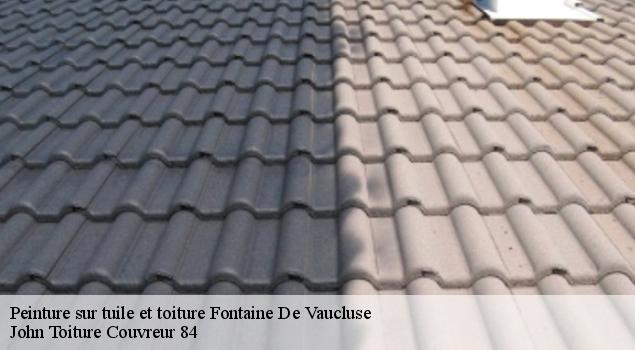 Peinture sur tuile et toiture  fontaine-de-vaucluse-84800 John Toiture Couvreur 84