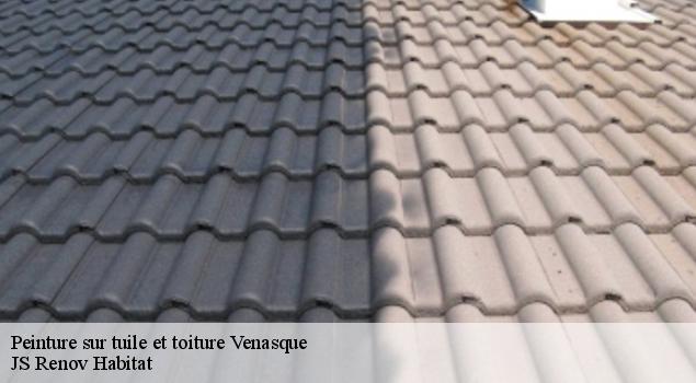Peinture sur tuile et toiture venasque-84210 JS Renov Habitat