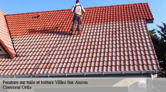 Peinture sur tuile et toiture  villes-sur-auzon-84570 Artisan Lagrenee