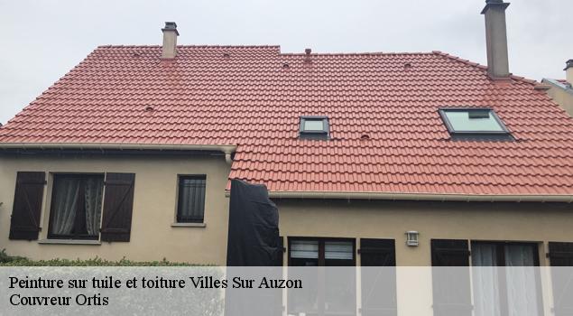 Peinture sur tuile et toiture  villes-sur-auzon-84570 Artisan Lagrenee