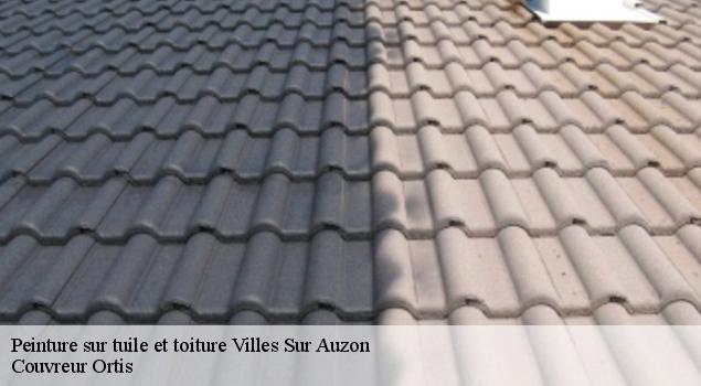 Peinture sur tuile et toiture  villes-sur-auzon-84570 Artisan Lagrenee