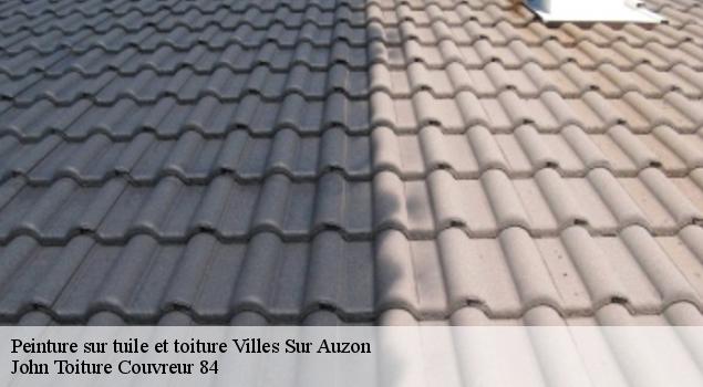 Peinture sur tuile et toiture  villes-sur-auzon-84570 John Toiture Couvreur 84