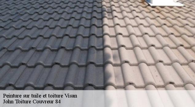 Peinture sur tuile et toiture  visan-84820 John Toiture Couvreur 84