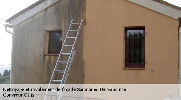 Nettoyage et ravalement de façade  saumanes-de-vaucluse-84800 Artisan Lagrenee
