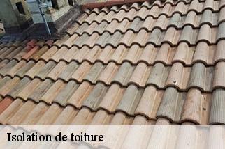 Isolation de toiture  auribeau-84400 Artisan Lagrenee