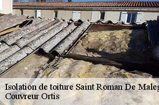Isolation de toiture  saint-roman-de-malegarde-84290 Couverture Lagrenee