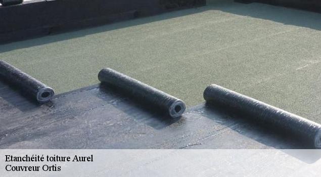 Etanchéité toiture  aurel-84390 Couverture Lagrenee