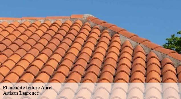 Etanchéité toiture  aurel-84390 Couverture Lagrenee
