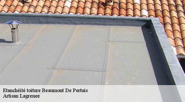 Etanchéité toiture  beaumont-de-pertuis-84120 Artisan Lagrenee