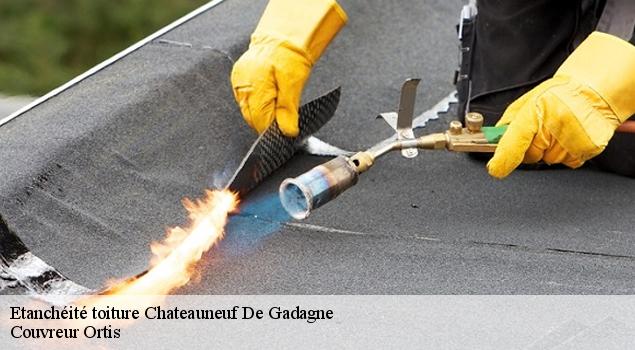 Etanchéité toiture  chateauneuf-de-gadagne-84470 Couvreur Ortis