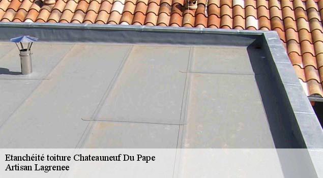 Etanchéité toiture  chateauneuf-du-pape-84230 Artisan Lagrenee