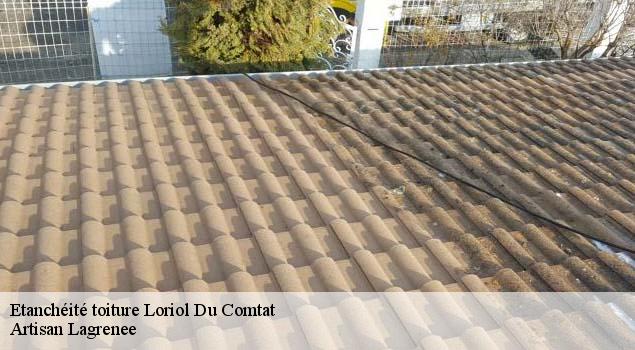Etanchéité toiture  loriol-du-comtat-84870 Artisan Lagrenee