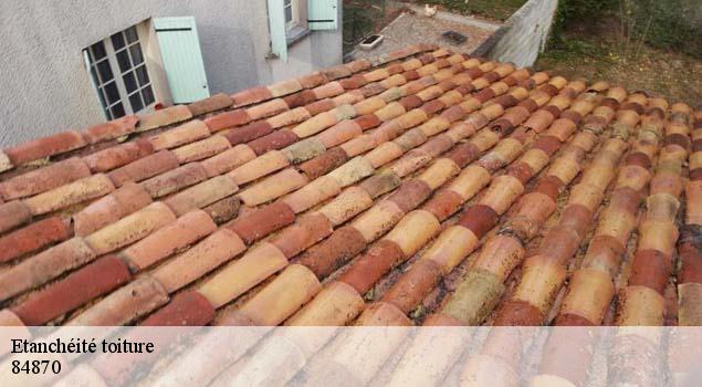 Etanchéité toiture  loriol-du-comtat-84870 Artisan Lagrenee