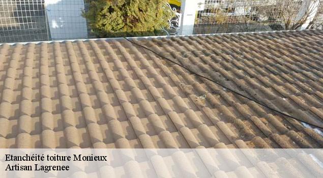 Etanchéité toiture  monieux-84390 Artisan Lagrenee