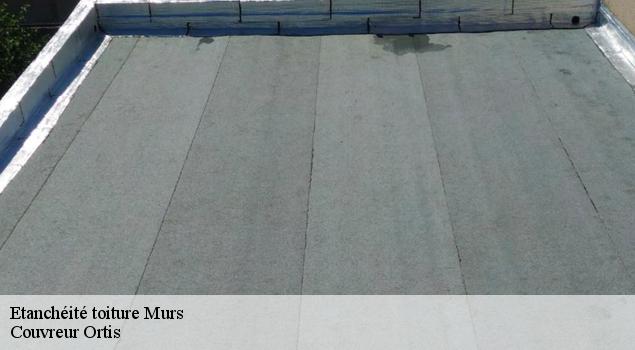 Etanchéité toiture  murs-84220 Couvreur Ortis